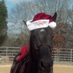 3 Made Darcy Wear a Goofy Hat