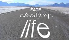 fate, writing, author, screenwriter