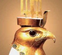 Becoming a Hawk of Gold