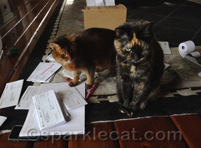 Too bad eBay does not allow you to sell kitties!