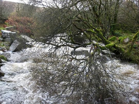 Winter river