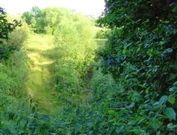 clip_image002