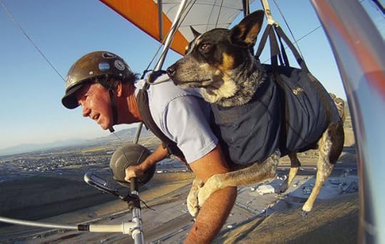 FlyingPup-Fireball_Tim