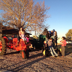 Prepping for the annual grand kids tractor photo = pulling teeth. #NewMexico