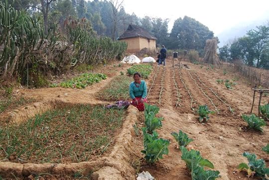 rsz_drip_irrigation_in_field_nepal