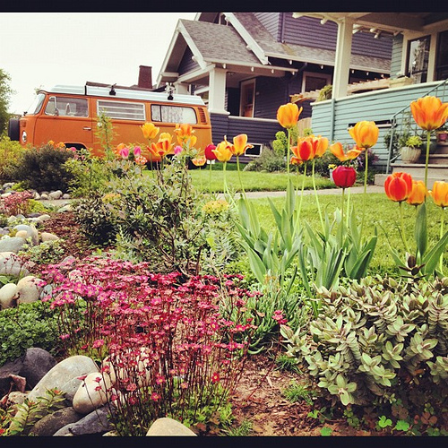 Spring is finally here in our front yard friends. Can I get an amen?