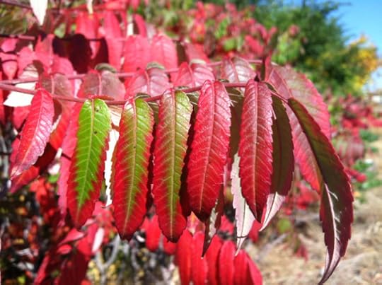 Click to visit the original post