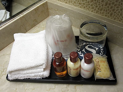 Travel amenities at Sheraton Hotel in Chicago