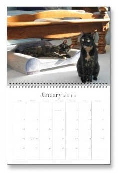 2014 Calendar January