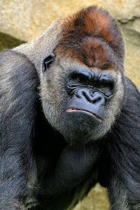 Click to visit the original post