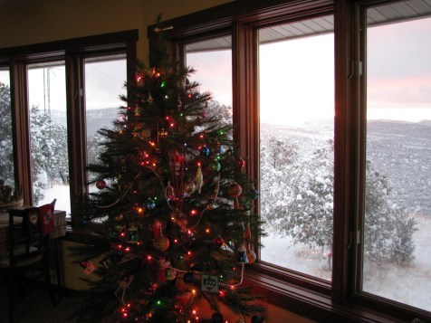 Snow 03DEC11