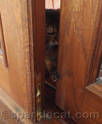 Somebody help me get this door open!