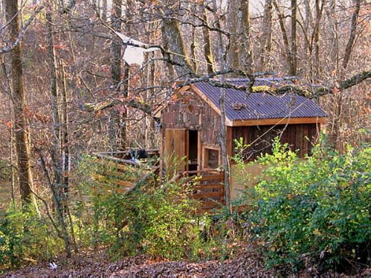 JIAB Tree House