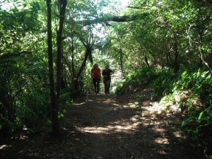 Mt Kau Kau - photo courtesy of Sams Hiking