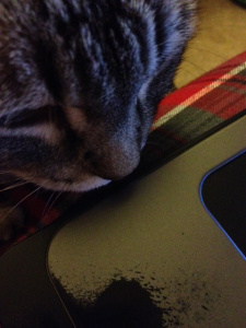 I am blogginge! Mommee has used her lapetope so much she wore off all the silver on it. She needs a new one, she sayse!