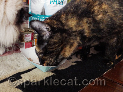 She practically knocked the can out of my human's hands