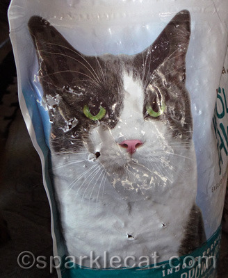 My human thought she heard some strange rustling while she was changing camera batteries
