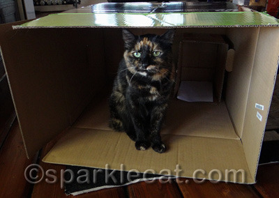 Nobody here shares boxes
