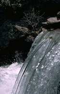 quenched