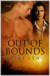 VL_OutofBounds_covertn