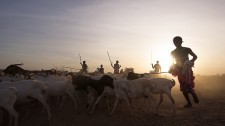 Kargi, Kenya, Africa