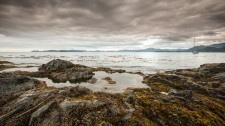 20130727-Haida-Gwaii-7097
