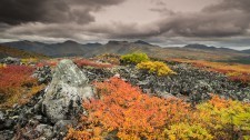 20130903-Yukon-4692