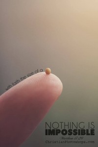 faith the size of a mustard seed