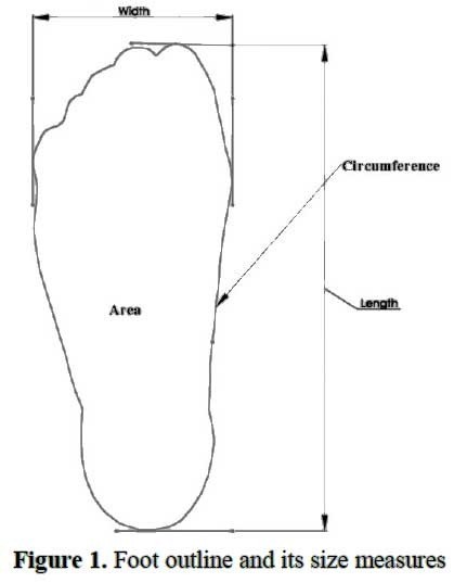 Foot_Size