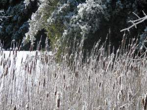 ???????????????????????????????