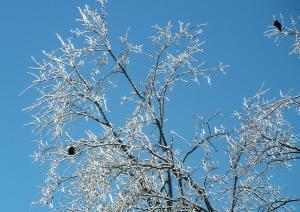 ???????????????????????????????