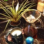 Picture of Bromeliad, Chemex, Globe, and a dragon-shaped mug.