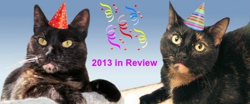 year_in_review