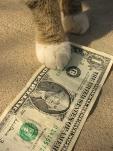 cat_with_money
