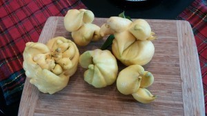 I think one resembles a trussed up chicken.