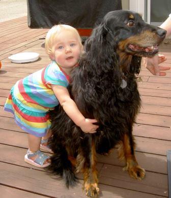 Gordon setter with child