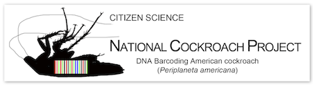 cockroachproject-logo