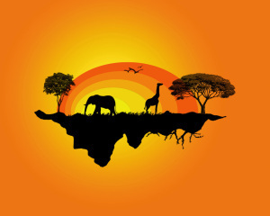 africa blog