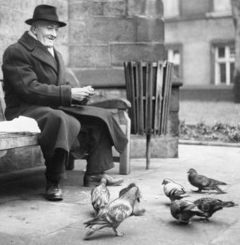 feeding-a-pigeon