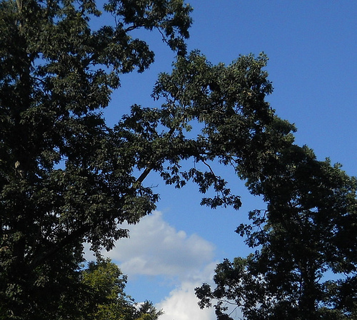 window to clouds