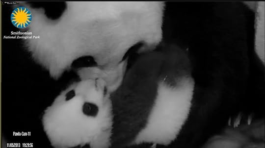Image property of Smithsonian Institute. I just took a screenshot.
