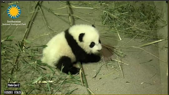 Image property of Smithsonian Institute. I just took a screenshot.