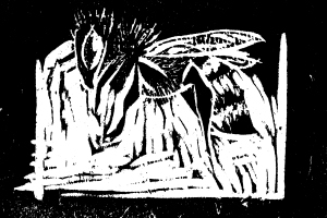 Bee2 copyright Cherry Potts 2011