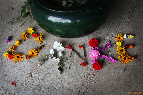 Thank You - Danke by AlicePopkorn via Flickr
