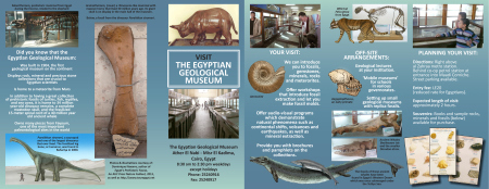 Egyptian Geological Museum