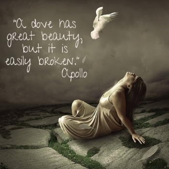  photo 83284ba3-716d-4cae-948a-415a730489d1_zpseffc823c.jpg