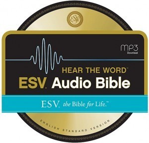 esvaudio