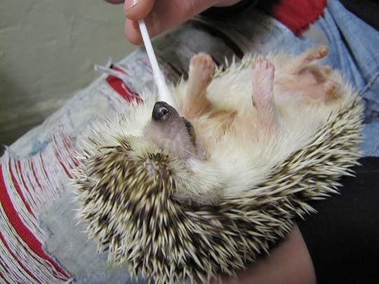 5240580052_1b26821104_b