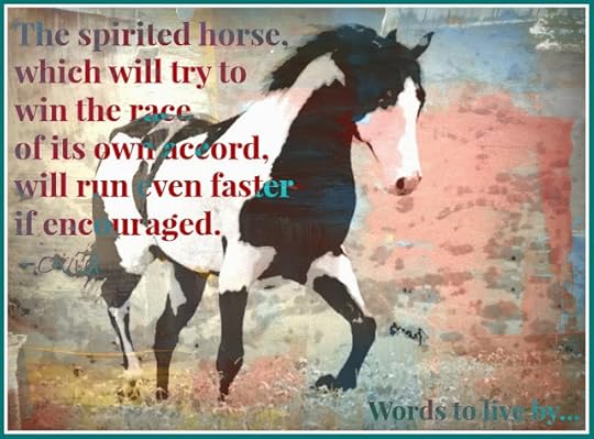 What Year is 2014 in Chinese New Year? It is the Chinese New Year, Year of the Horse 2014. Horse Quotes for Pinterest.