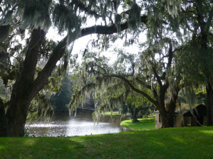 Plantation, Charleston SC